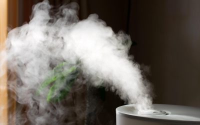 Learn How to Clean and Refreshen a Humidifier – The DIY Way